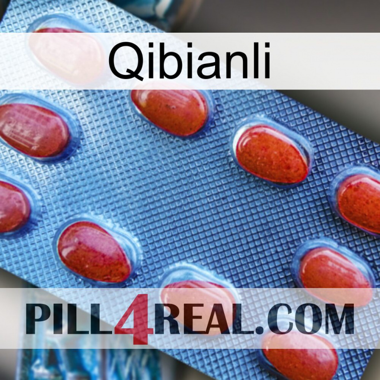 Qibianli 06